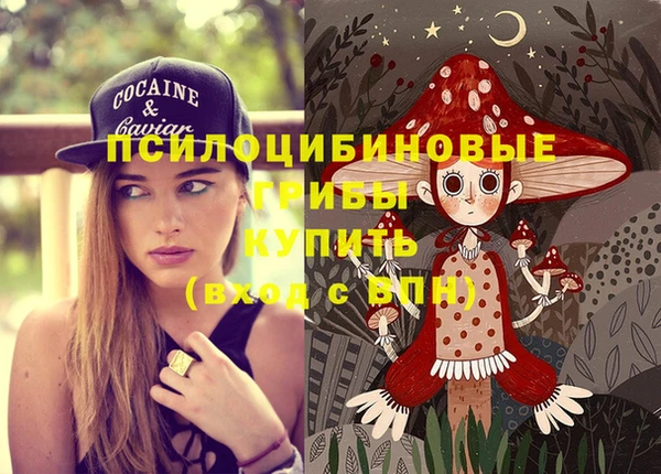 бошки Баксан